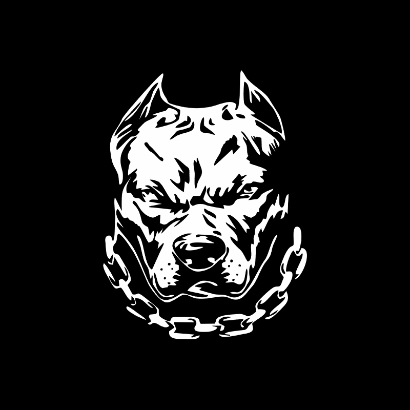 ملصق لصائق مقاوم للماء لنافذة  - مراجعة Motorcycle Gear For Dogs وسعره