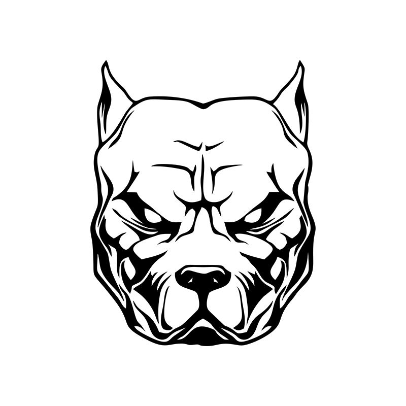 ملصق بنمط كلب للدراجات النارية - مراجعة Motorcycle Gear For Dogs وسعره