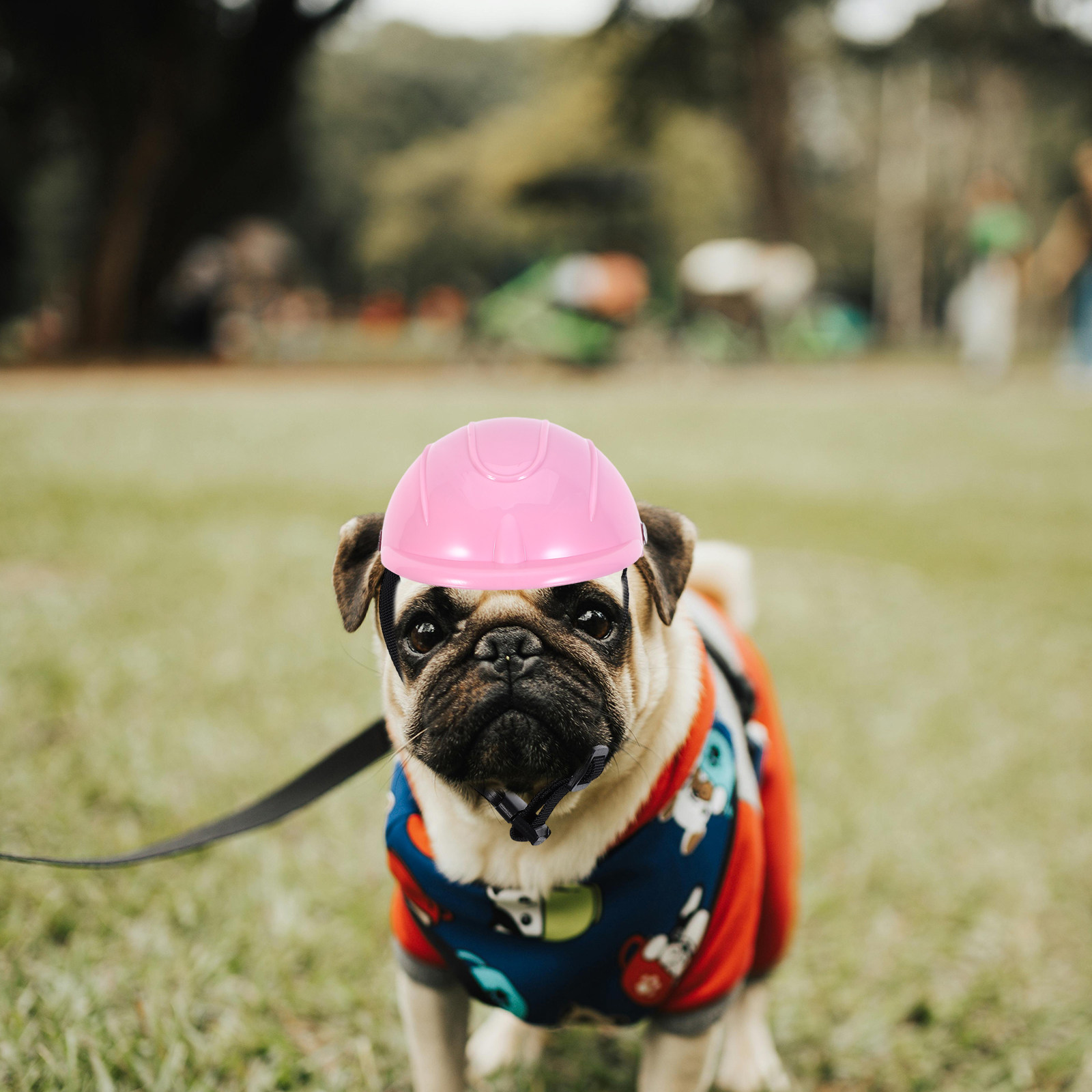 خوذة واقية قابلة للتعديل للكلا - مراجعة Motorcycle Gear For Dogs وسعره