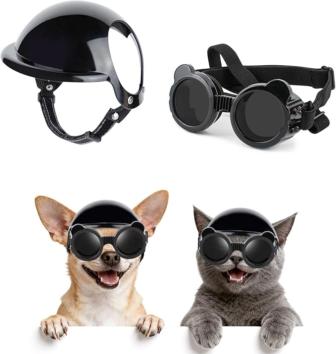 خوذة دراجة نارية للقطط، قبعة م - مراجعة Motorcycle Gear For Dogs وسعره