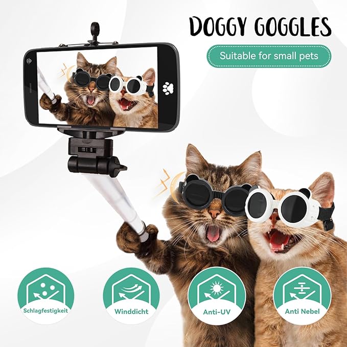 خوذة دراجة نارية للقطط، قبعة م - مراجعة Motorcycle Gear For Dogs وسعره