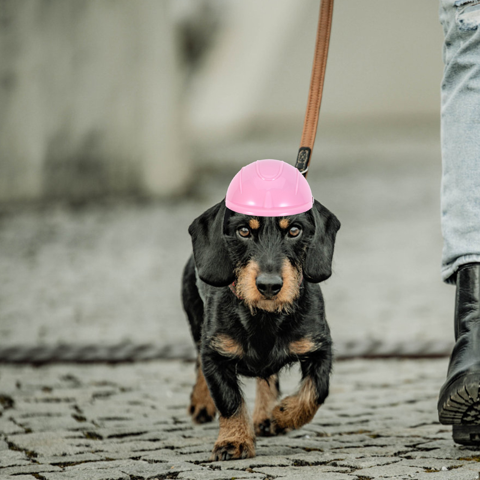 خوذة واقية قابلة للتعديل للكلا - مراجعة Motorcycle Gear For Dogs وسعره
